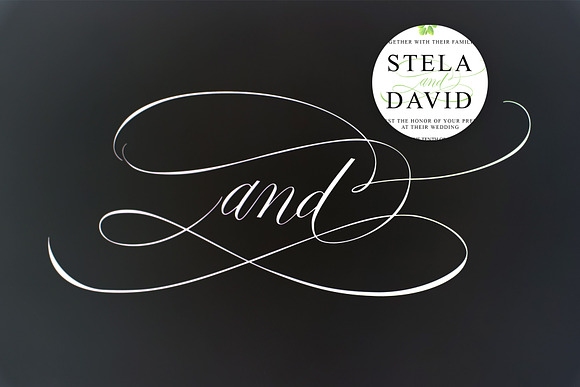 Fifty "AND" for your weddings in Symbol Fonts - product preview 7