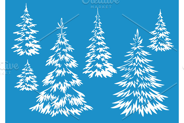 Christmas Fir Trees Contours
