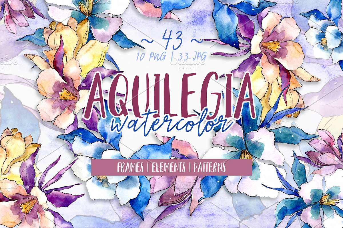 Beautiful aquilegia PNG watercolor in Illustrations - product preview 8