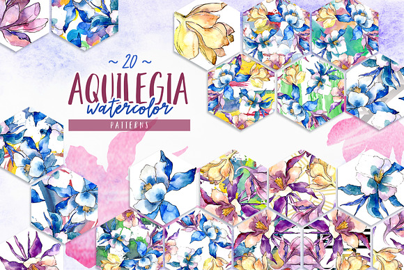 Beautiful aquilegia PNG watercolor in Illustrations - product preview 6