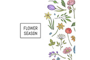 Vector hand drawn flowers background