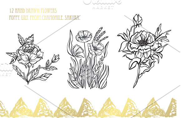 12 Hand Drawn Flowers Set in Illustrations - product preview 1
