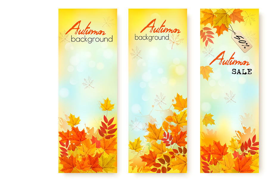 Three Autumn Sale Banners. Vector in Illustrations - product preview 8