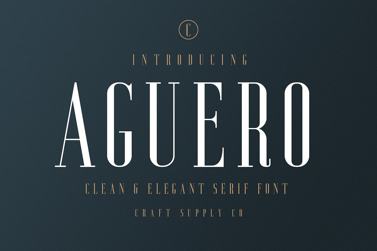 Aguero Serif - Clean & Elegant Font in Serif Fonts - product preview 8