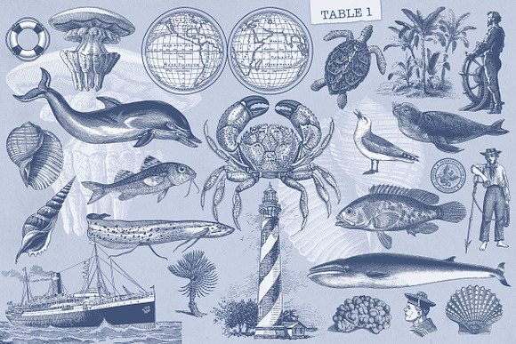 Vintage Nautical Vector Set in Illustrations - product preview 2