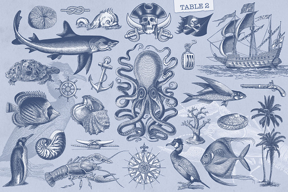 Vintage Nautical Vector Set in Illustrations - product preview 3