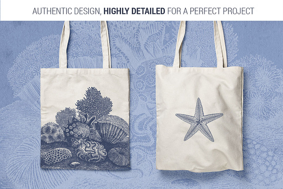 Vintage Nautical Vector Set in Illustrations - product preview 6