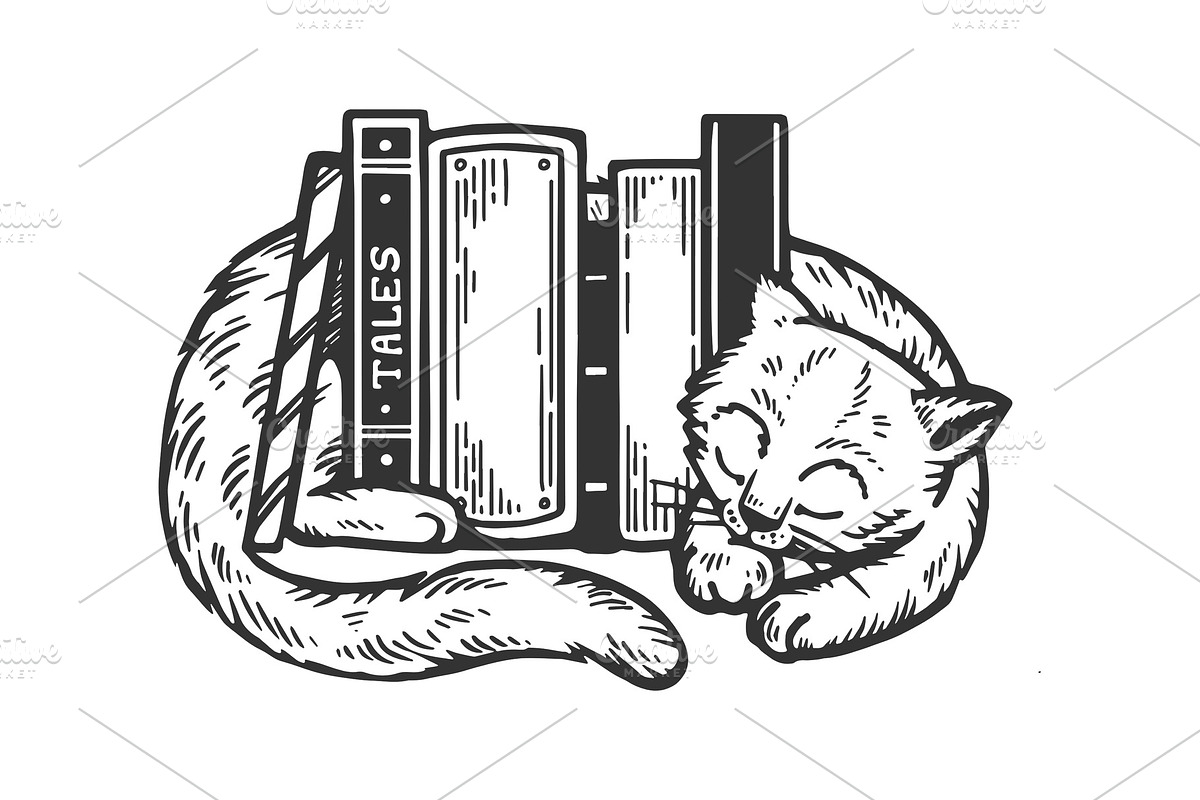 Sleeping cat around books engraving in Illustrations - product preview 8