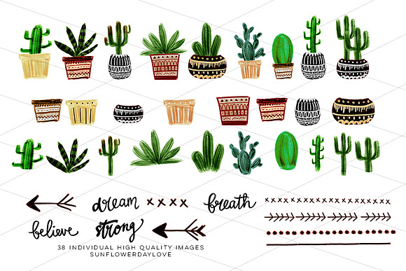 Boho Cactus Clipart in Illustrations - product preview 2