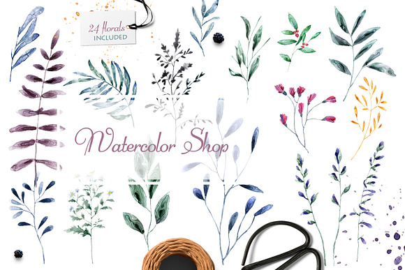 Botanical Garden Watercolor Set in Illustrations - product preview 8