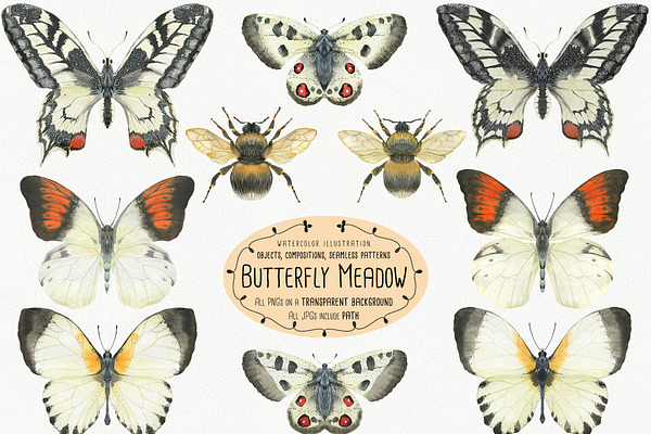 The Butterfly Meadow