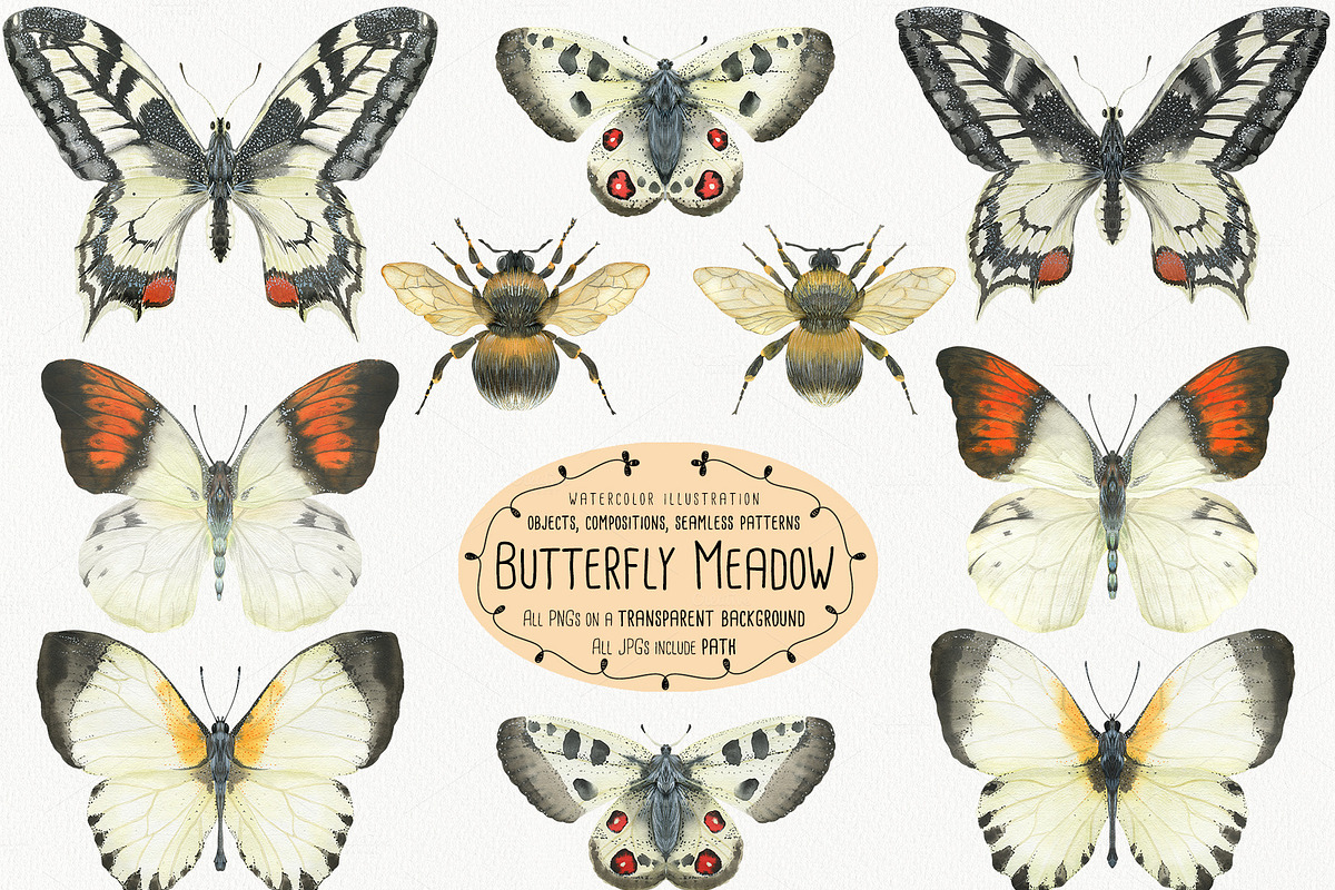The Butterfly Meadow in Illustrations - product preview 8