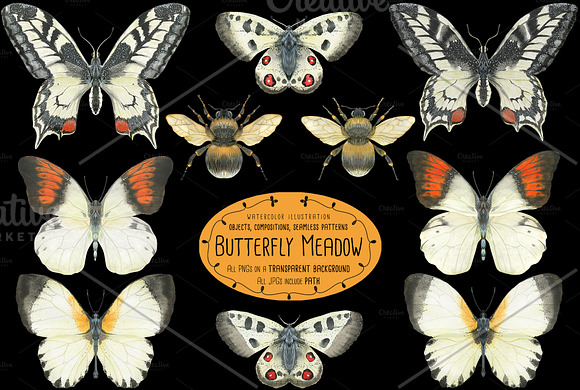 The Butterfly Meadow in Illustrations - product preview 3