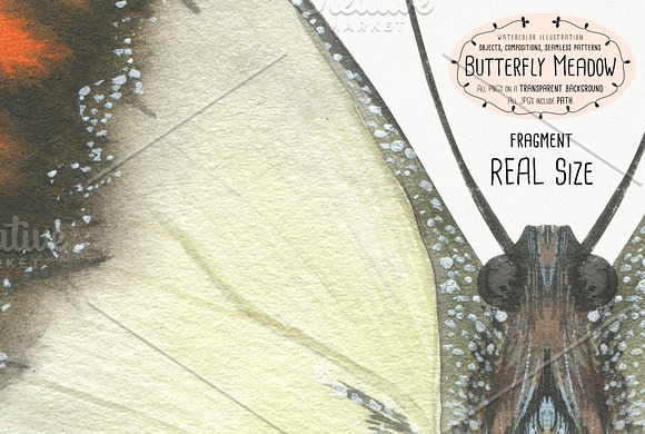 The Butterfly Meadow in Illustrations - product preview 8