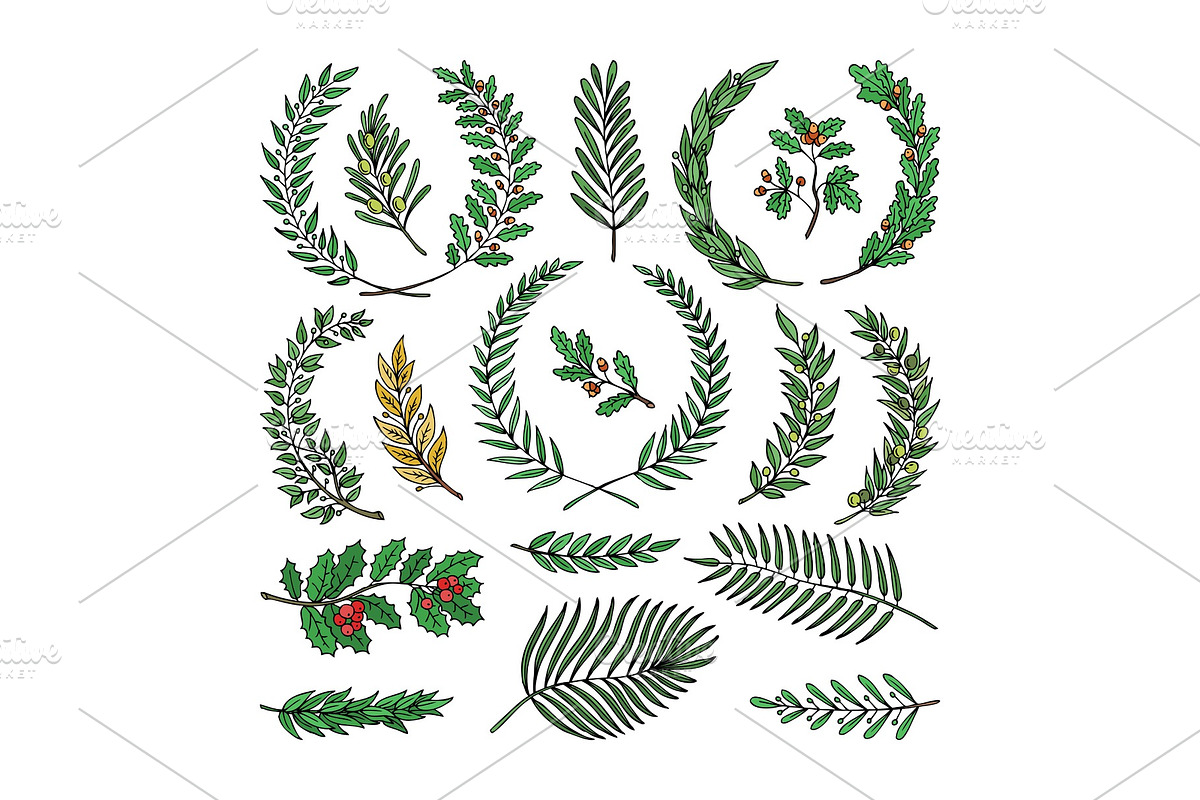 Wreath vector tree branch herald in Illustrations - product preview 8