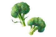 Broccoli Pencil Illustration