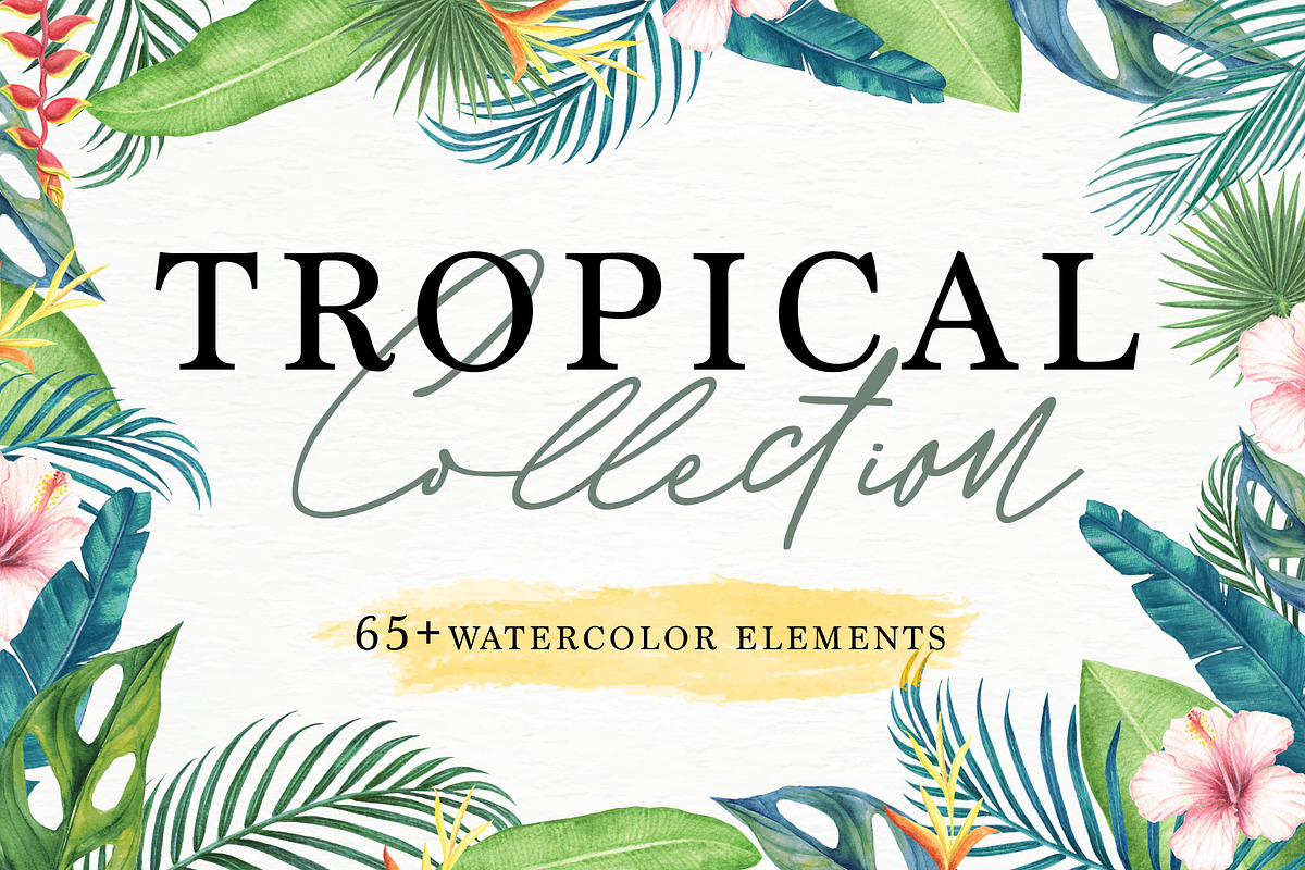 Tropical Collection in Illustrations - product preview 8
