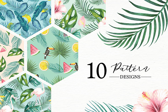 Tropical Collection in Illustrations - product preview 1