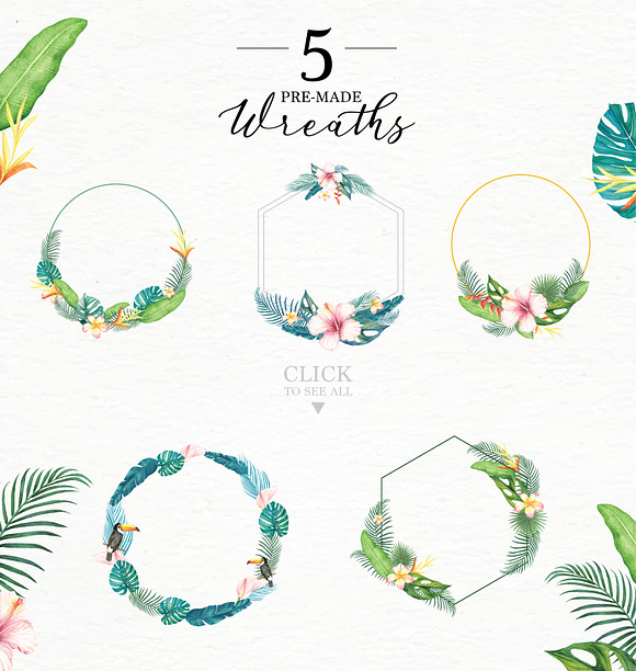 Tropical Collection in Illustrations - product preview 3