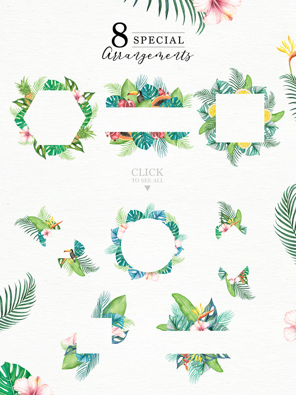 Tropical Collection in Illustrations - product preview 4