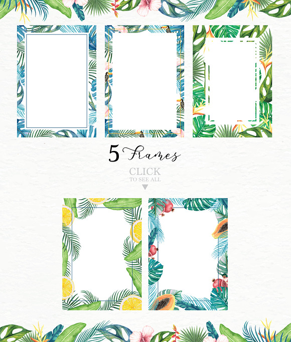 Tropical Collection in Illustrations - product preview 6