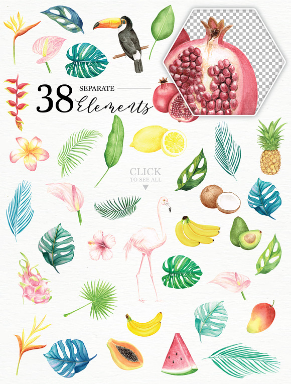 Tropical Collection in Illustrations - product preview 9
