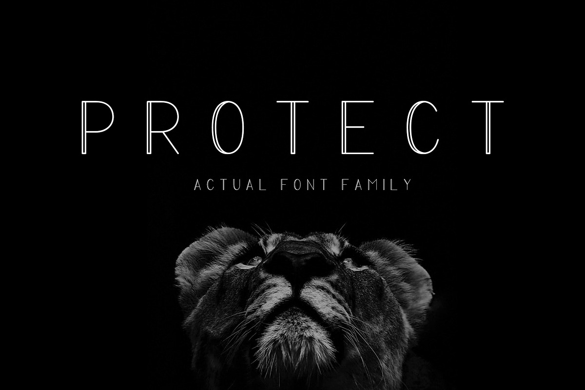 PROTECT Sans Serif Font Family in Sans-Serif Fonts - product preview 8