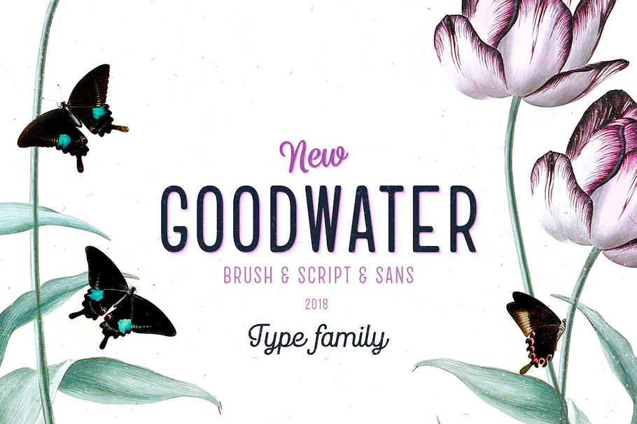 Goodwater font collection in Display Fonts - product preview 8