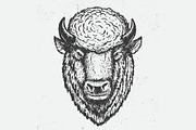 the buffalo head