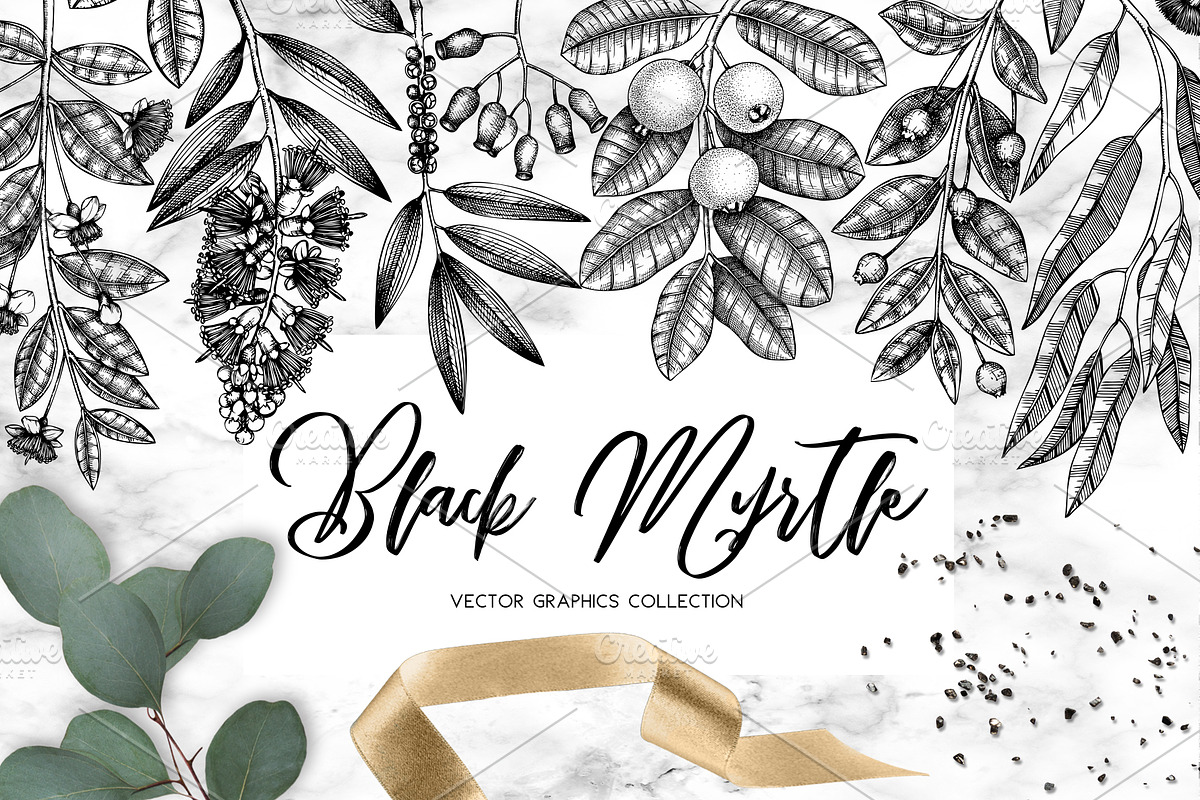 Black Myrtle Design Collection in Illustrations - product preview 8