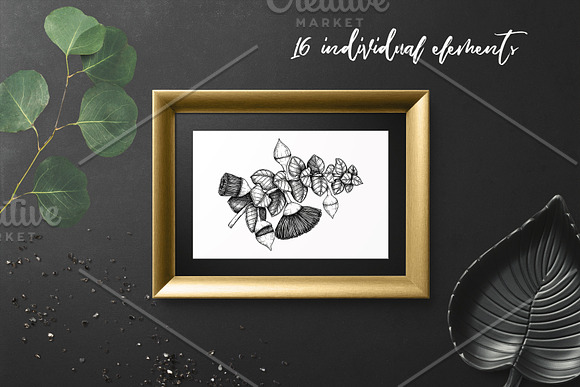 Black Myrtle Design Collection in Illustrations - product preview 1
