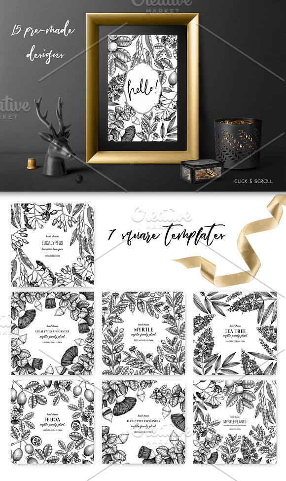 Black Myrtle Design Collection in Illustrations - product preview 3