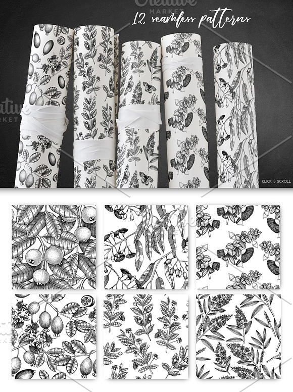 Black Myrtle Design Collection in Illustrations - product preview 5