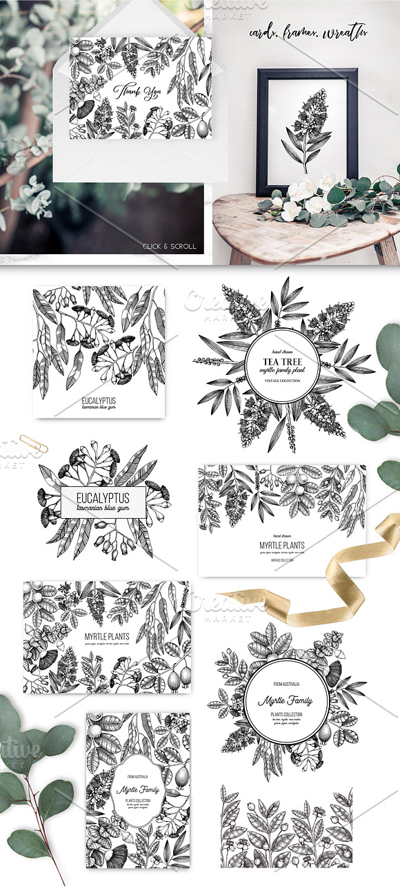 Black Myrtle Design Collection in Illustrations - product preview 8
