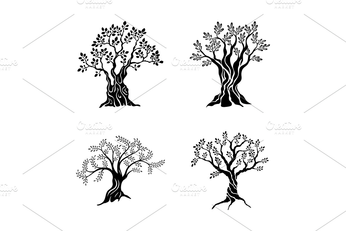 Olive trees silhouette icon in Illustrations - product preview 8