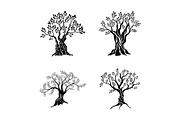 Olive trees silhouette icon