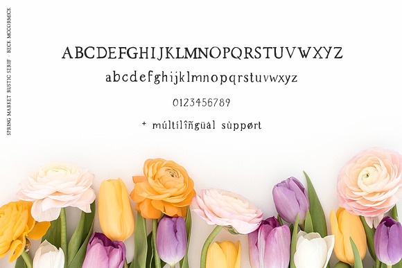 Spring Market - Rustic Font in Serif Fonts - product preview 8