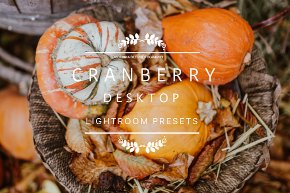 Desktop Lightroom Presets CRANBERRY in Add-Ons - product preview 17
