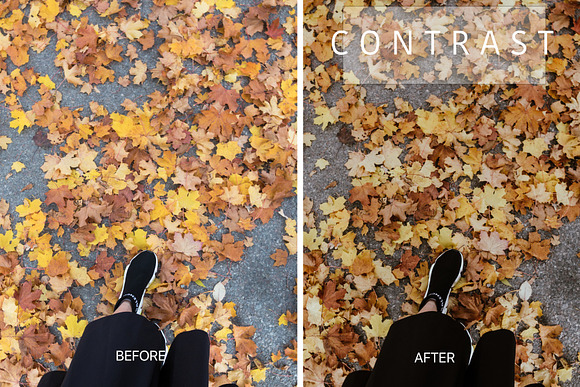 Desktop Lightroom Presets CRANBERRY in Add-Ons - product preview 18