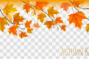Autumn nature panorama with leaves