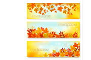 Three Autumn Nature Banners. Vector