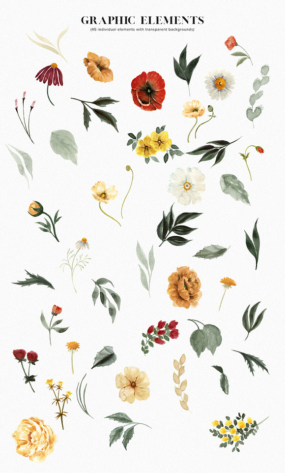 Golden Winter Floral Graphic Set in Illustrations - product preview 4