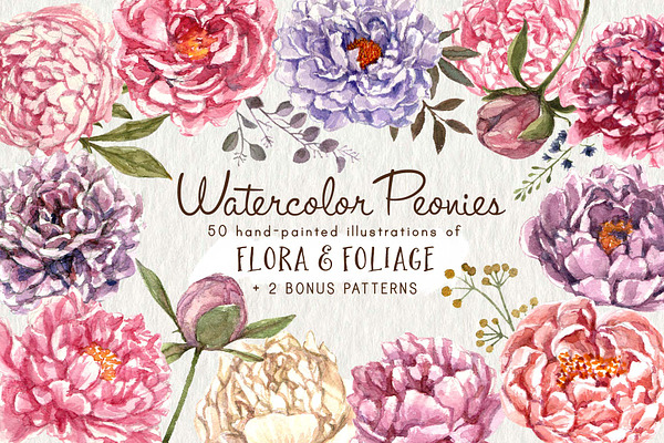 Watercolor Peonies & Foliage