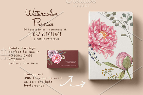 Watercolor Peonies & Foliage in Illustrations - product preview 1