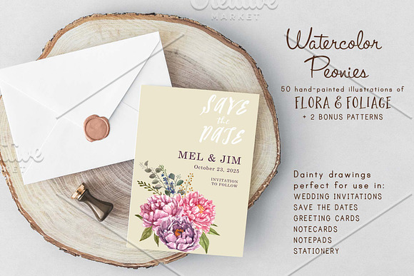 Watercolor Peonies & Foliage in Illustrations - product preview 2