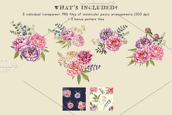 Watercolor Peonies & Foliage in Illustrations - product preview 6
