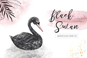 Watercolor Black Swan Set