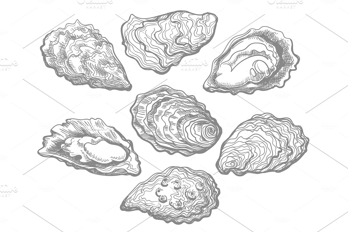 Oyster shell set in Illustrations - product preview 8