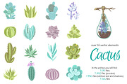 Cactus Pale Set