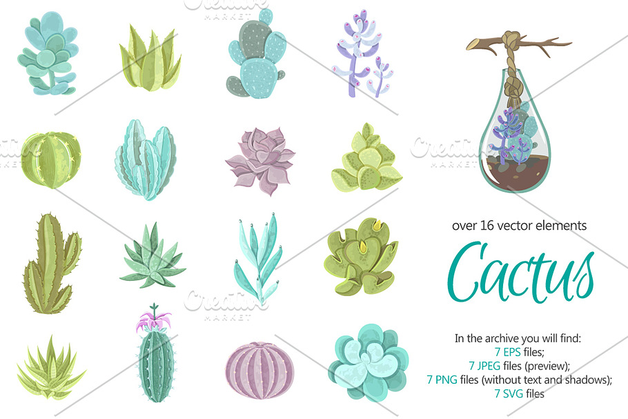 Cactus Pale Set in Illustrations - product preview 8